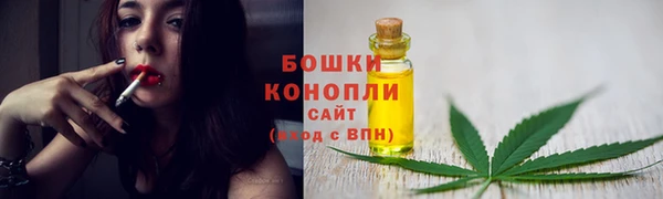 spice Богородицк